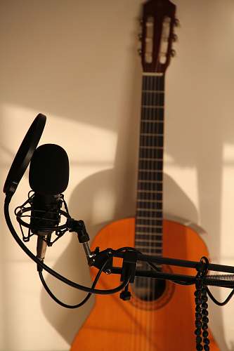 electric guitar condenser microphone with pop filter leisure activities